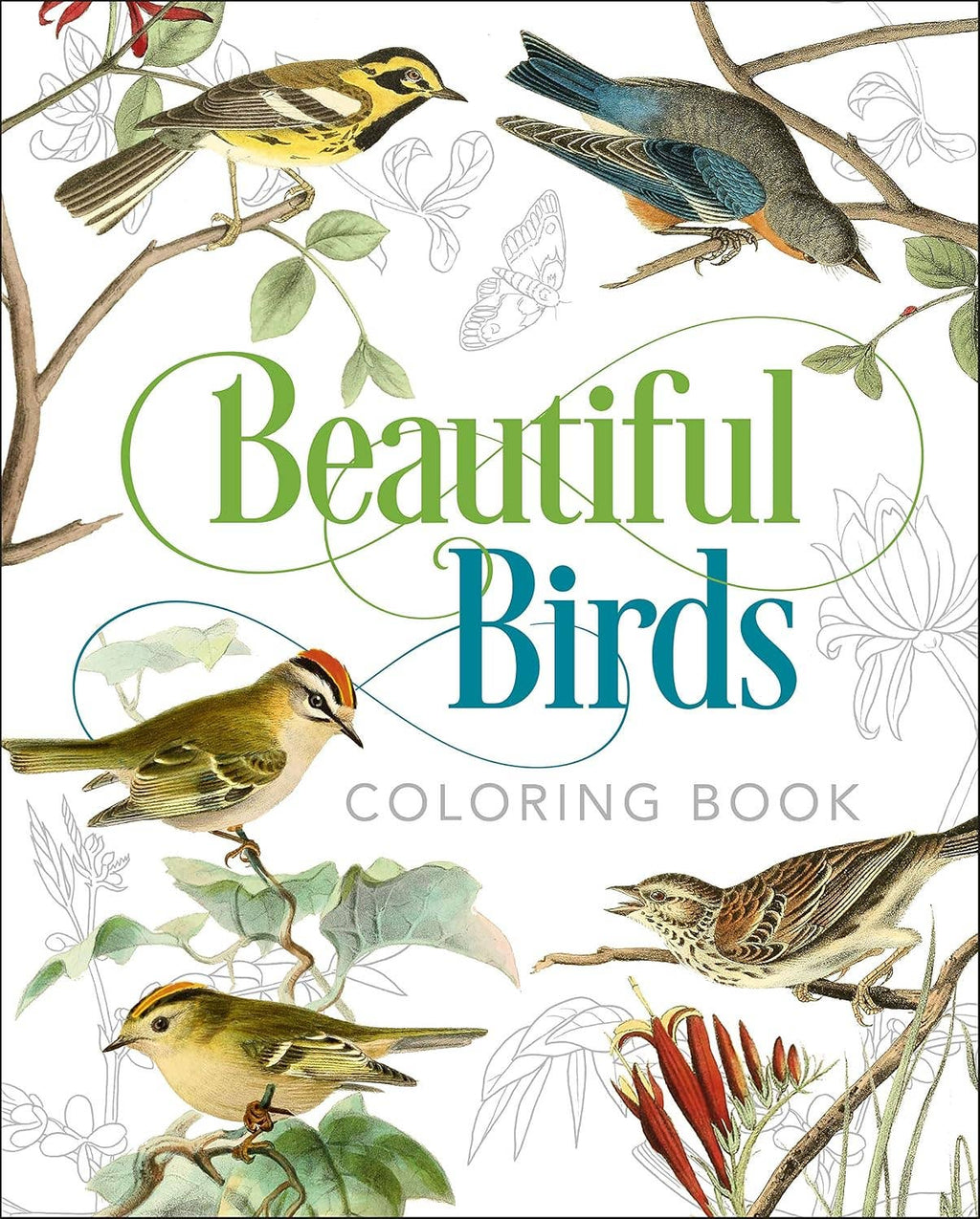 Beautiful Birds Coloring Book